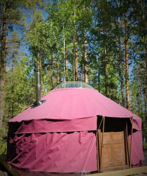 Jurtta Linkkumylly